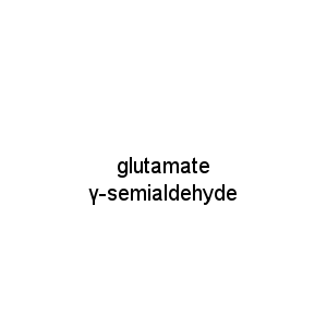 glutamate γ-semialdehyde